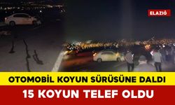 Otomobil koyun sürüsüne daldı: 15 koyun telef oldu