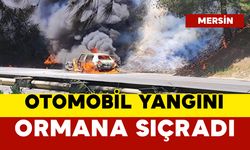 Otomobilde çıkan yangın ormana sıçradı