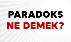 Paradoks Ne Demek?