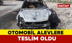 Park halindeki otomobil alevlere teslim oldu