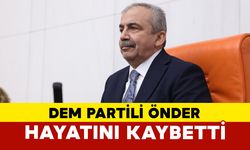 Sırrı Süreyya Önder Hayatını Kaybetti