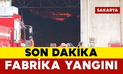 Son Dakika: Sakarya’da fabrika yangını