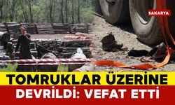 Tonlarca Tomruk Üzerine Devrildi, Hayatını Kaybetti