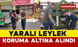 Yaralı Leylek Koruma Altına Alındı