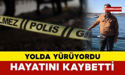 Yol kenarında yürürken otomobilin çarptığı adam hayatını kaybetti