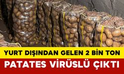Yurt Dışından Gelen 2 Bin Ton Patates Virüslü Çıktı