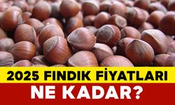 2025 Fındık Fiyatları Ne Kadar?