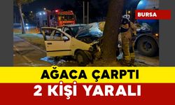 Ağaca çarptı: 2 yaralı