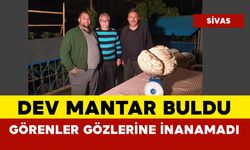 Görenler gözlerine inanamadı