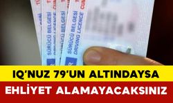 IQ’nuz 79’un Altındaysa Ehliyet Alamayacaksınız