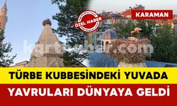 Karaman’da anne leylek Türbe kubbesindeki yuvada yavrularını dünyaya getirdi