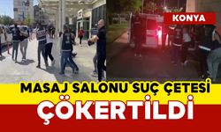 Kardelen operasyonu: suç çetesi çökertildi