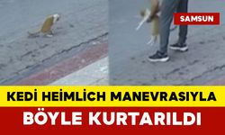 Kedi Heimlich Manevrasıyla Kurtarıldı