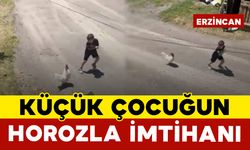 Küçük Çocuğun Horozla İmtihanı