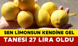 Limon fiyatları uçtu: tanesi 27 lira