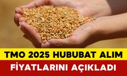 TMO 2025 Hububat Alım Fiyatlarını Açıkladı