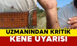 Uzmanından kritik kene uyarısı