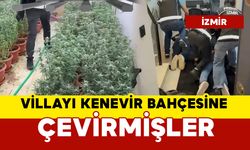Villayı kenevir bahçesine çeviren 3 şüpheliye gözaltı