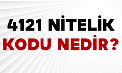4121 Nitelik Kodu Nedir?