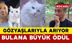 Gözyaşlarıyla Arıyor Bulana Büyük Ödül