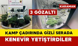 Kamp çadırında gizli serada kenevir yetiştirdiler: 3 gözaltı