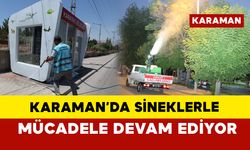 Karaman Belediyesi’nden sineklerle mücadele çalışmaları