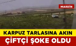 Karpuz Tarlasına Akın: Çiftçi Şoke Oldu