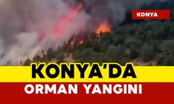 Konya'da orman yangını