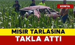 Mısır tarlasına takla attı: 1 yaralı