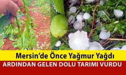 Önce Yağmur, Ardından Gelen Dolu Tarımı Vurdu