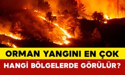 Orman yangını en çok hangi bölgelerde görülür?