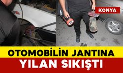 Otomobilin Jantına Yılan Sıkıştı