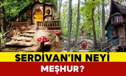 Serdivan'ın Neyi Meşhur?