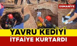 Yavru kediyi kuyudan itfaiye kurtardı