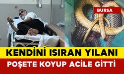 Yılan adamı ısırdı, poşete yılanı koyum acile gitti