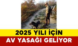 2025 Yılı İçin Av Yasağı Geliyor