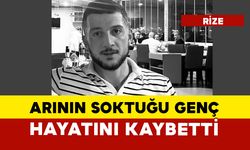 Arının soktuğu genç hayatını kaybetti