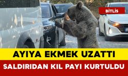 Ayıya Ekmek Uzattı: Saldırıdan Kıl Payı Kurtuldu