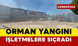 Çanakkale'de orman yangınında son durum: işletmelere sıçradı
