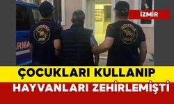 Çocukları kullanıp hayvanları zehirleyen şüpheli tutuklandı
