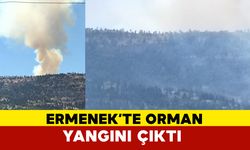 Ermenek Yeşilköy’de Ormanlık Alanda Tepe Yangını