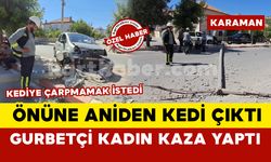 Karaman’da gurbetçi kadın kediye çarpmamak için manevra yapınca kaza yaptı
