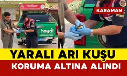 Karaman’da yaralı arı kuşu koruma altına alındı