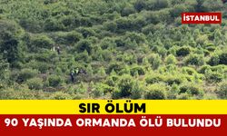 Kaybolan 90 yaşındaki Yusuf Bayraktar ormanlık alanda ölü bulundu
