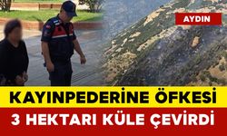 Kayınpederine Öfkesi 3 Hektarı Küle Çevirdi