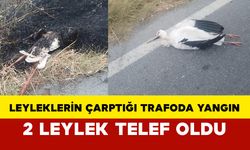 Leyleklerin Çarptığı Trafoda Yangın: 2 Leylek Telef Oldu