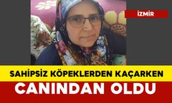 Sahipsiz köpeklerden kaçarken kazada öldü