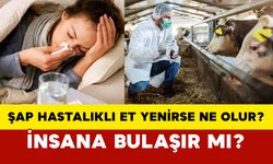 Şap Hastalıklı Et Yenirse Ne Olur? İnsana Bulaşır mı?