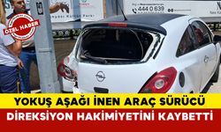 Sürücü Yokuşta Kontrolü Kaybetti
