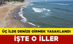 Üç İlde Denize Girmek Yasaklandı: İşte O İller